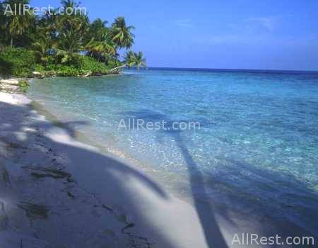 Filitheyo Island Resort 11
